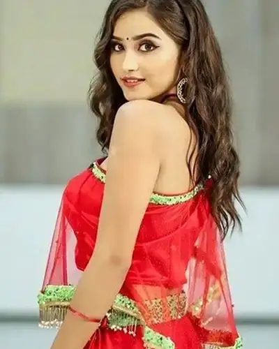 Call Girls Service Wadwani